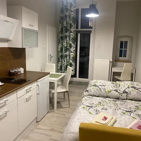 Przytulna Kawalerka 10min Pieszo Od Dworca/galerii Апартаменты