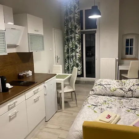 Apartment Przytulna Kawalerka 10min Pieszo Od Dworca/galerii