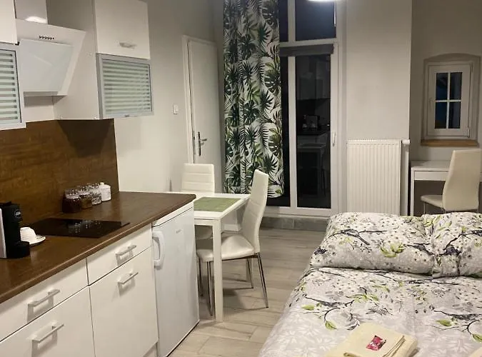 Apartament Przytulna Kawalerka 10min Pieszo Od Dworca/galerii